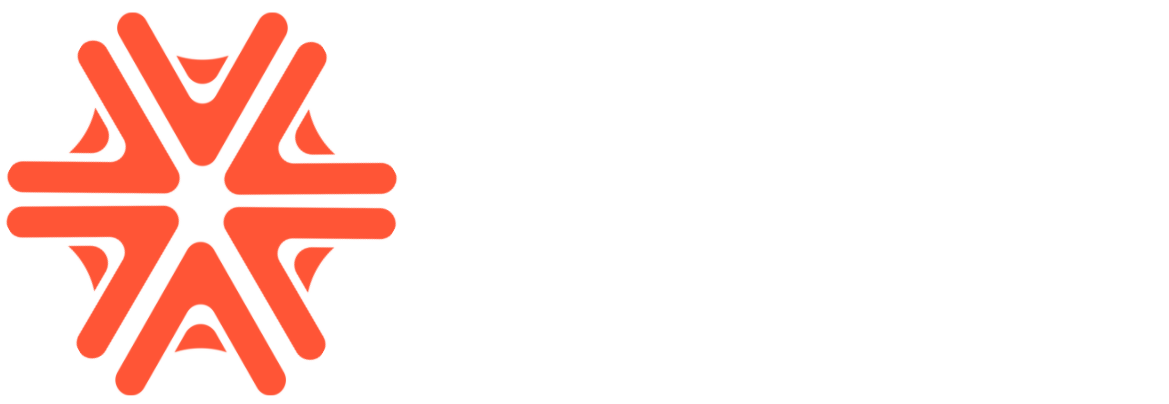 Auriseg